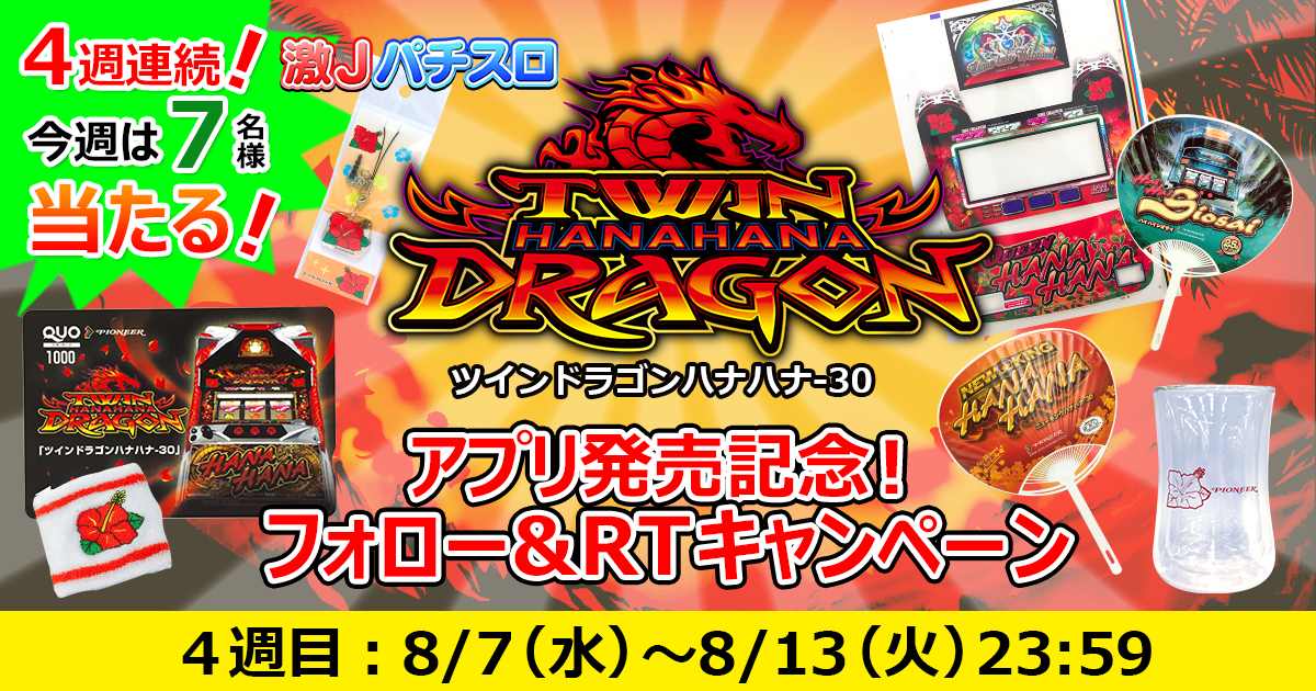 ルーツ ツインドラゴンハナハナ/DX-30 不要機データカウンター付